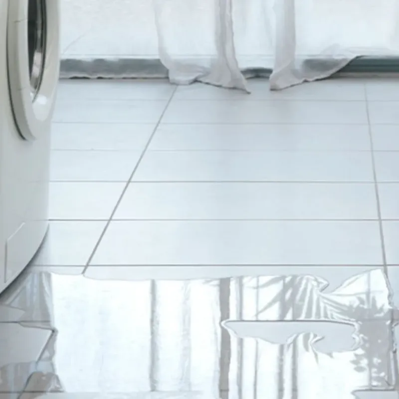 Appliance Leak Cleanup in Sammamish, WA